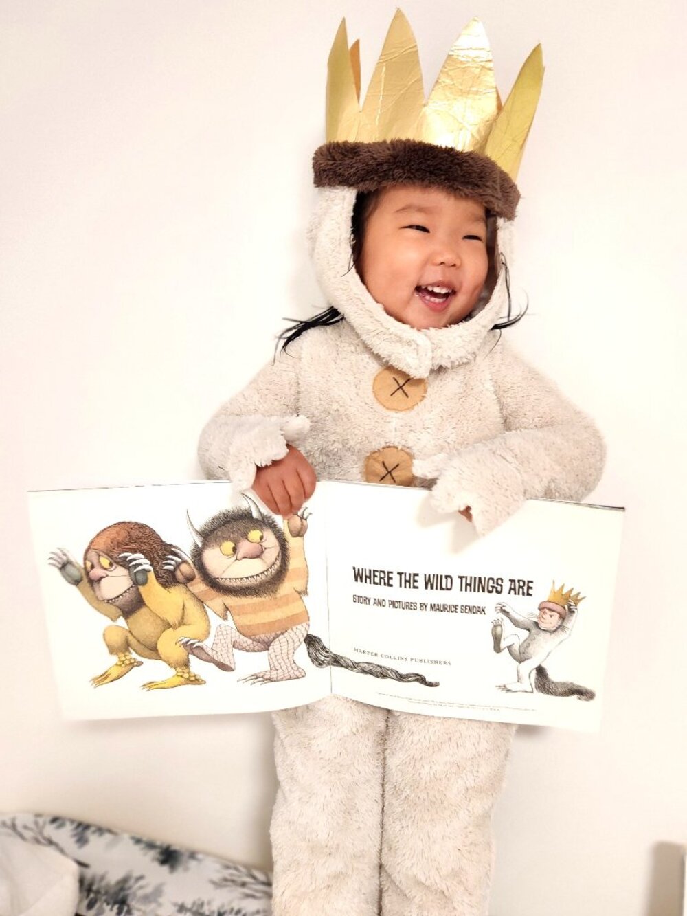 Where The Wild Things Are Max Costume Pottery Barn Kids - 2T Excellent Condition